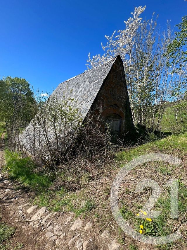 divers à vendre - 90.0 m2 - LASCELLE MANDAILLES - 15 - AUVERGNE - Century 21 Pradel Immobilier