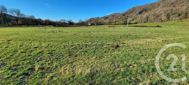 Afficher la photo en grand terrain à vendre - 13968.0 m2 - VIC SUR CERE - 15 - AUVERGNE - Century 21 Pradel Immobilier