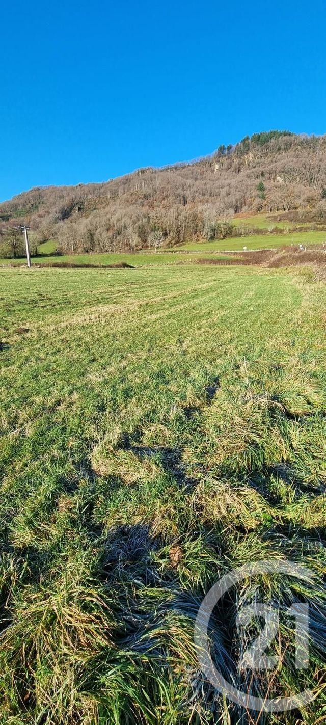 Afficher la photo en grand terrain à vendre - 13968.0 m2 - VIC SUR CERE - 15 - AUVERGNE - Century 21 Pradel Immobilier