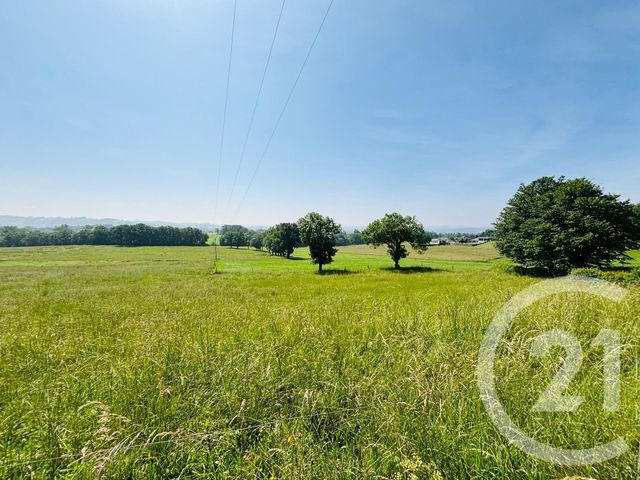 terrain à vendre - 2955.0 m2 - CRANDELLES - 15 - AUVERGNE - Century 21 Pradel Immobilier