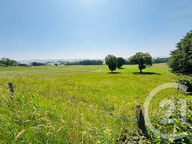 terrain à vendre - 1290.0 m2 - CRANDELLES - 15 - AUVERGNE - Century 21 Pradel Immobilier