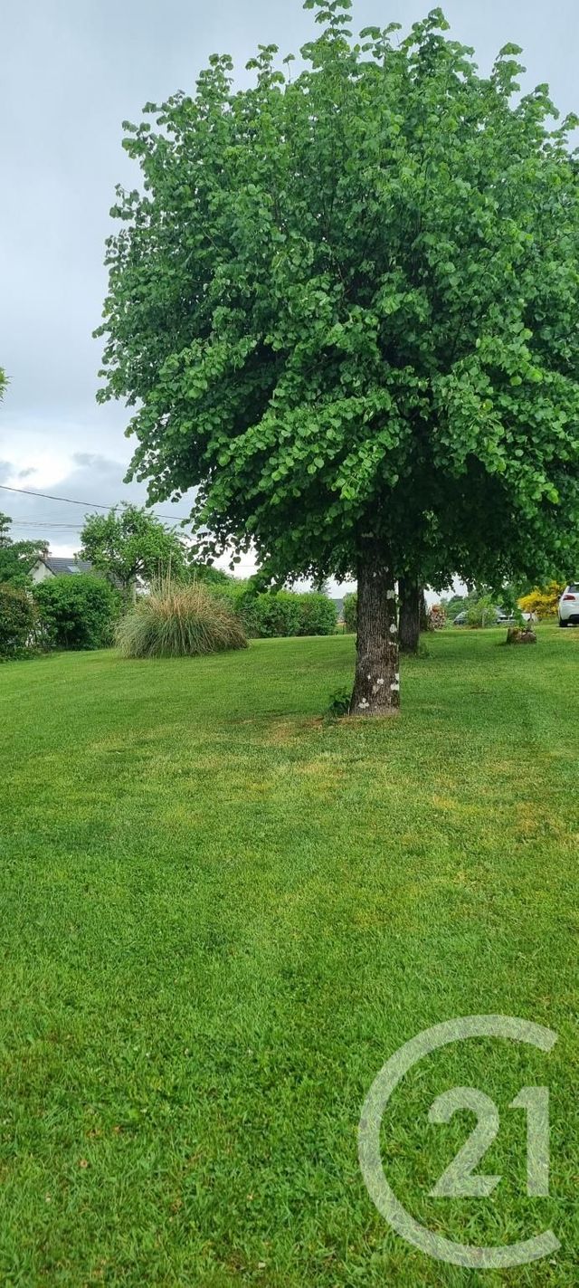 maison à vendre - 5 pièces - 85.0 m2 - ROUFFIAC - 15 - AUVERGNE - Century 21 Pradel Immobilier